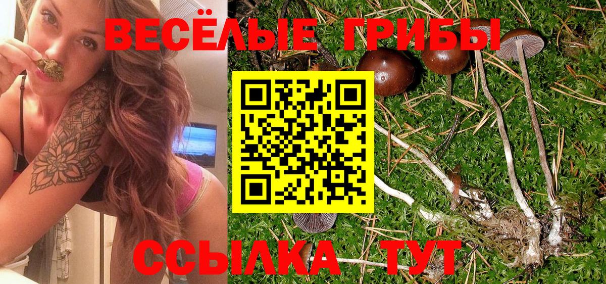 Псилоцибиновые грибы Cubensis  Вход с VPN  Конаково 